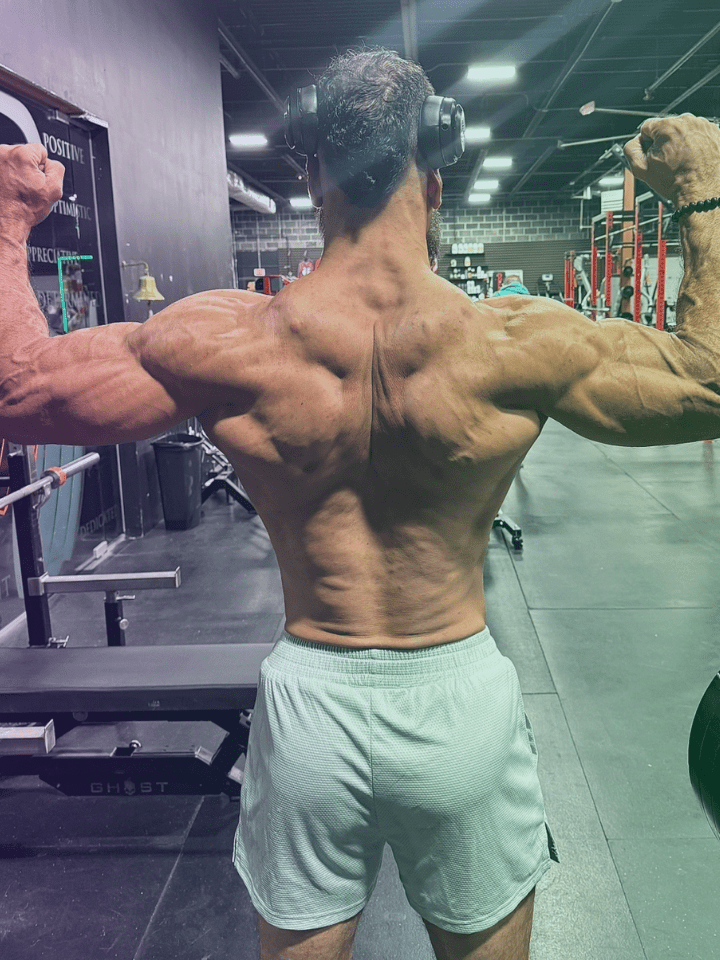 ciclo stenabolic