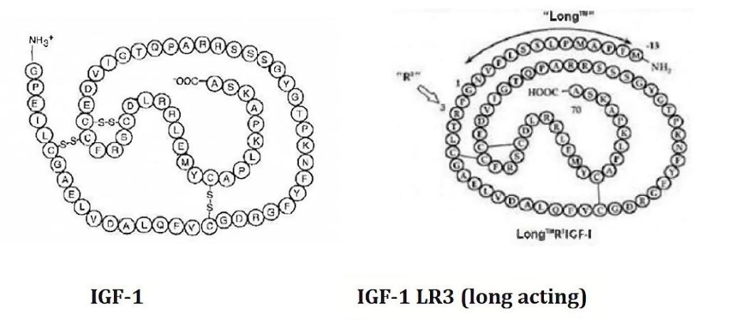 Confezione di IGF-1 LR3 - Peptide di Driada Medical per la crescita muscolare